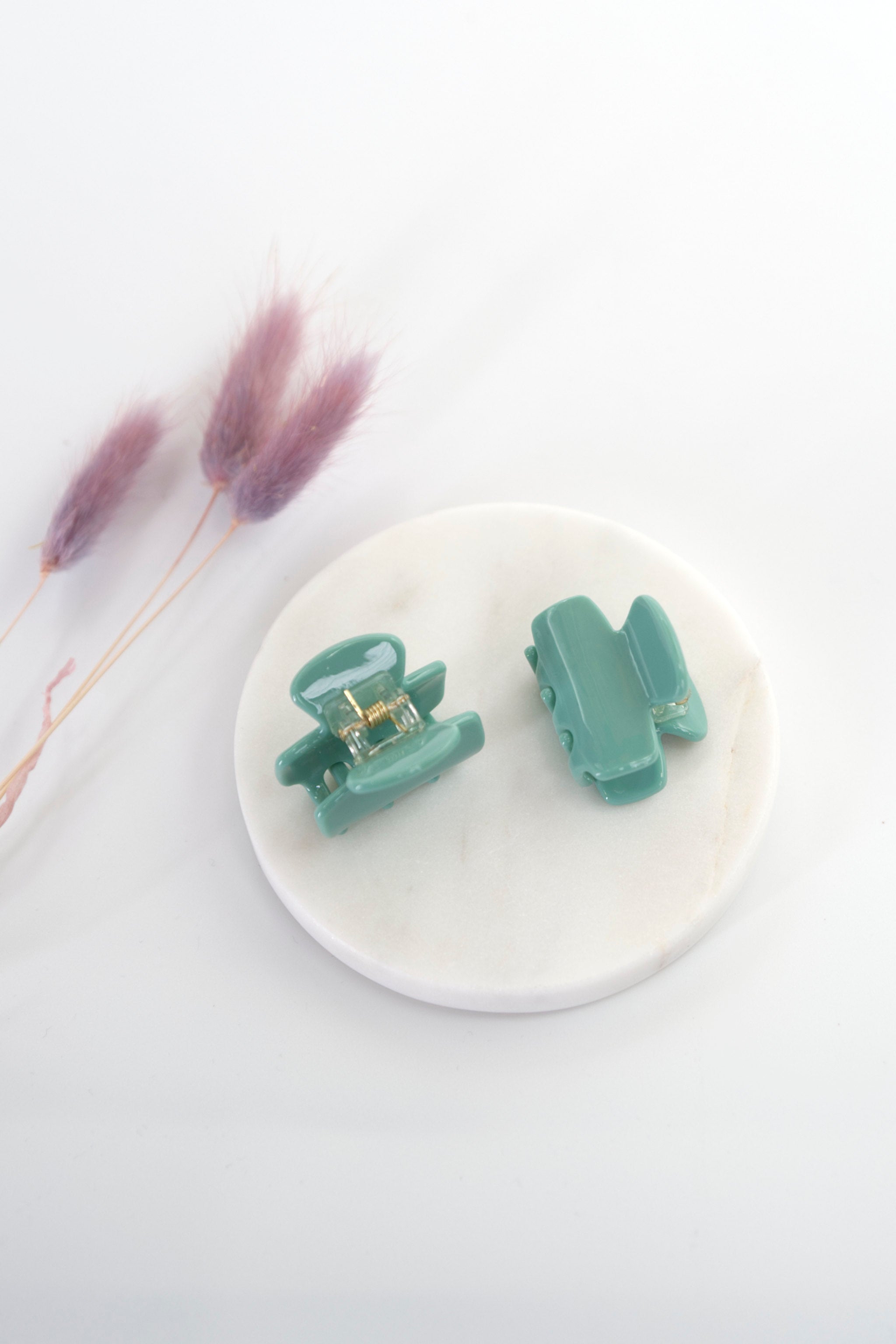 Mini Haarklammern in pastellgrün im 2er-Set – stylische und praktische Haaraccessoires zum Zurückstecken von Strähnen, ideal für kreative Frisuren.